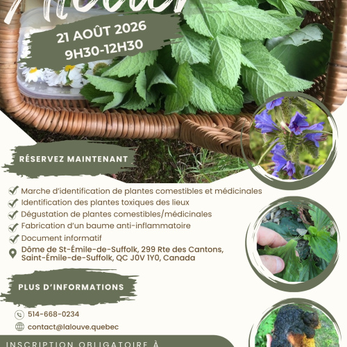 21 août- Marche d'identification et fabrication d'onguent- St-Émile-de-Suffolk