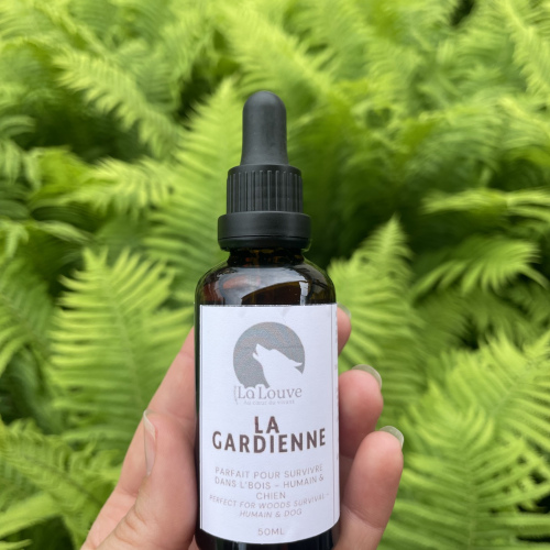 LA GARDIENNE- CHIENS