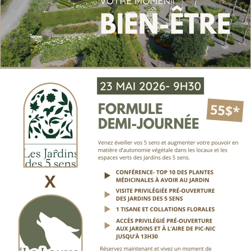CONFÉRENCE- Top 10 des plantes médicinales à avoir au jardin